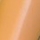 Vison